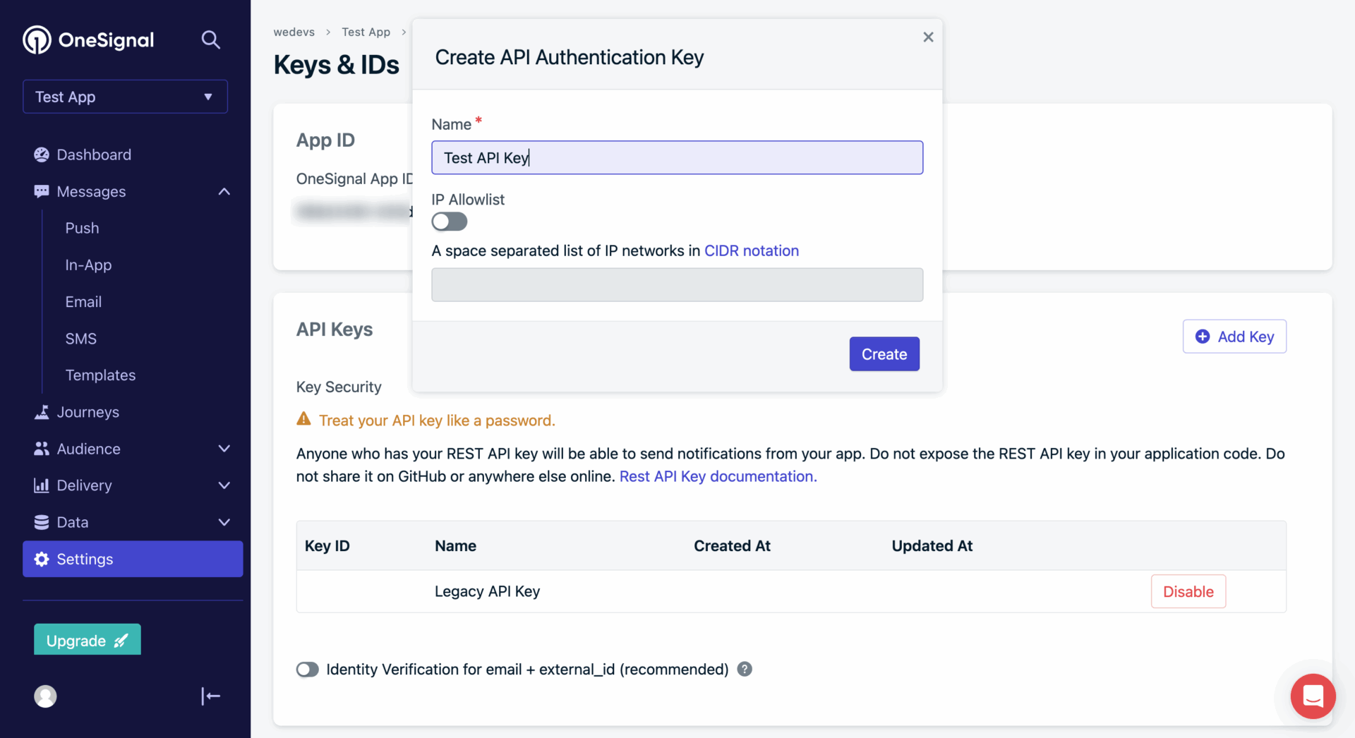 This is a screenshot of api key pop-up