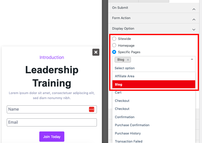 This image shows how to place a form on a specific page like blog page. 