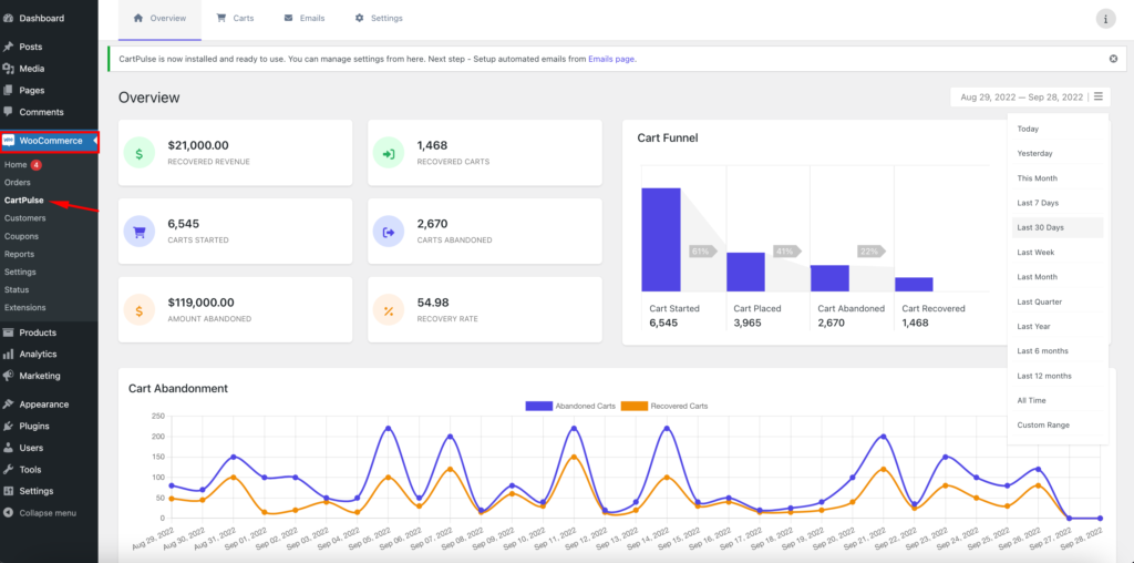 A screentshot showing CartPulse dashboard overview