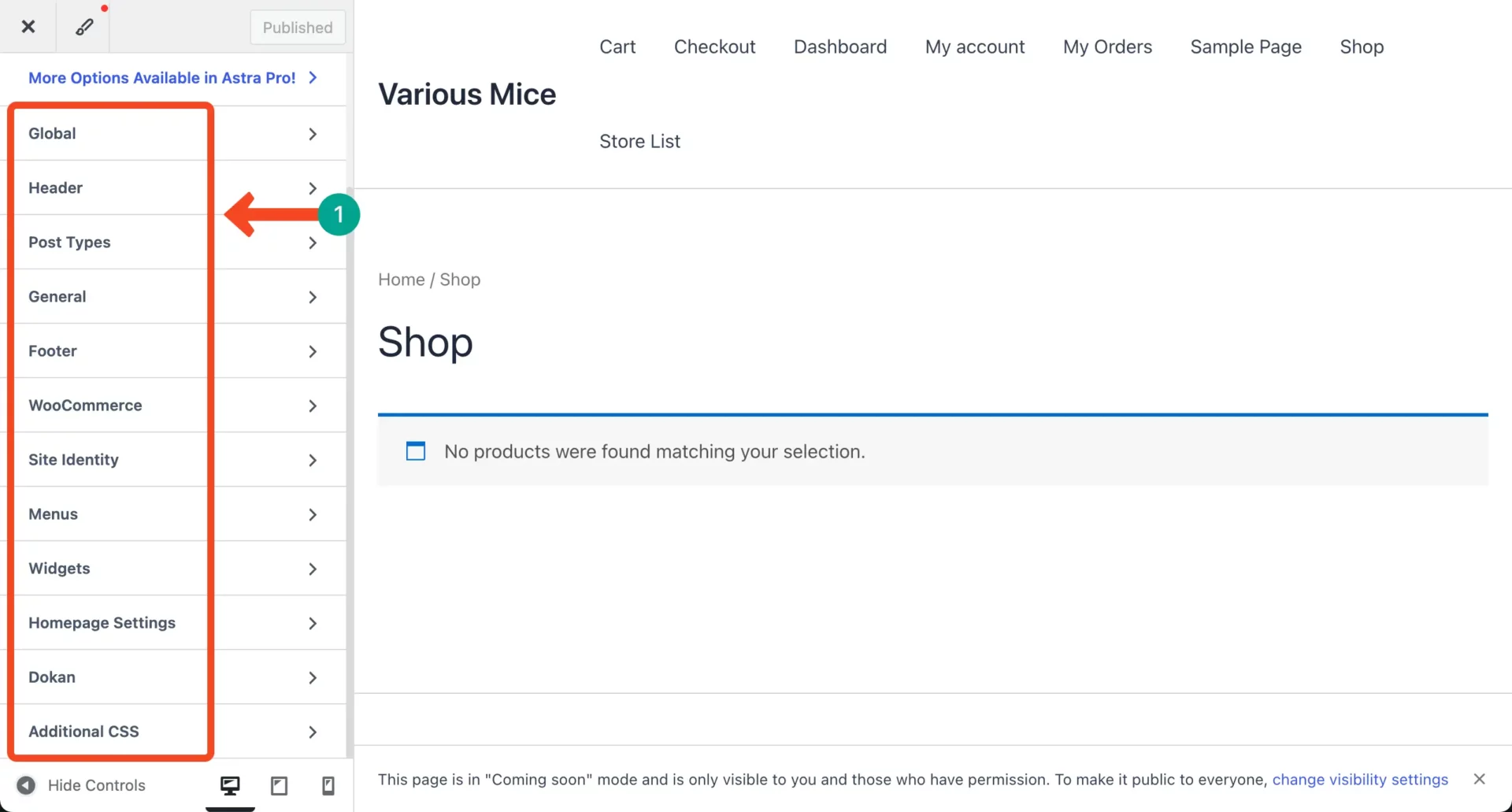 Use theme customizer options