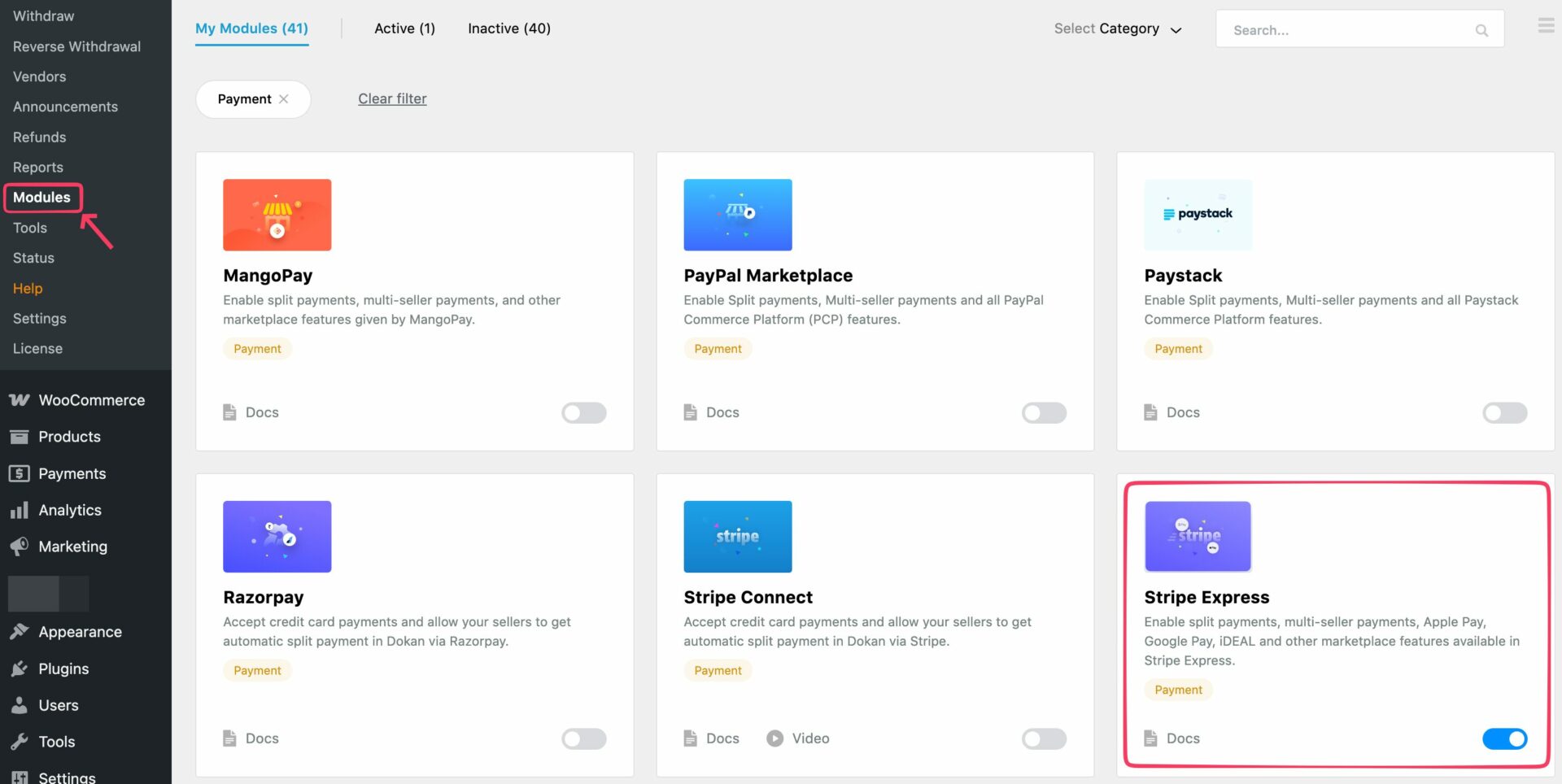 Connect Your Account to the Dokan Stripe Express Module
