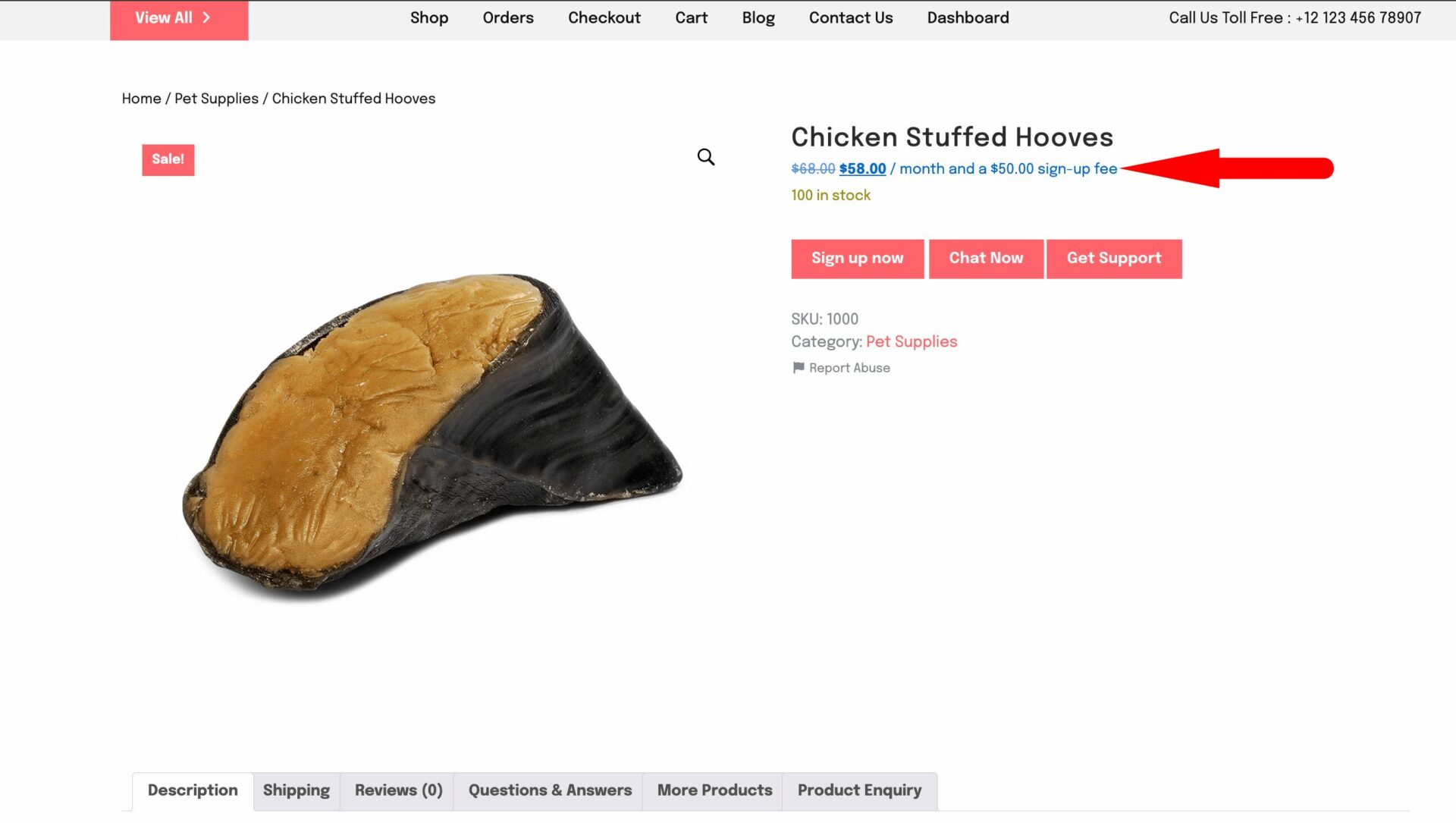 This is a screenshot of subscription