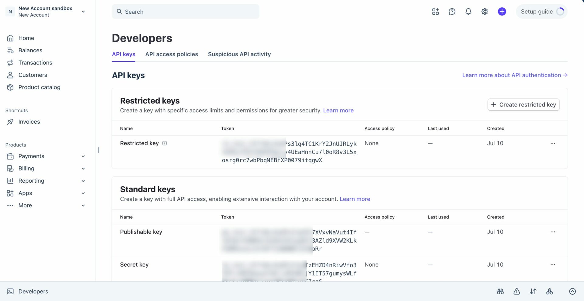 Copy API keys